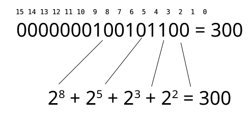 Binary number 300 example